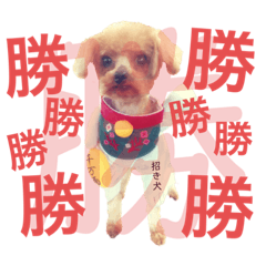 [LINEスタンプ] 個太郎スタンプ