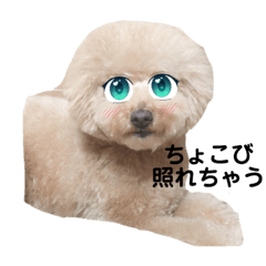 [LINEスタンプ] ちょこびの日常