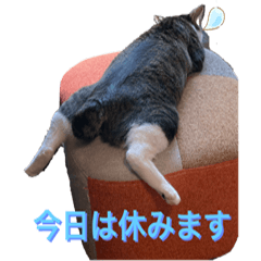[LINEスタンプ] らるコレクション