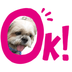 [LINEスタンプ] シーズーのダッシュ
