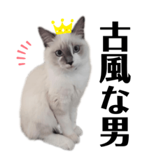 [LINEスタンプ] xxthoutherxx