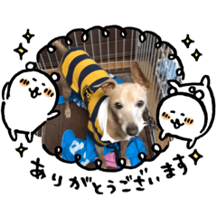[LINEスタンプ] kid luck sen ryou