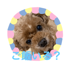[LINEスタンプ] 我が家のプッカとポッキー