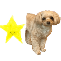 [LINEスタンプ] スターくん＆むぎ1