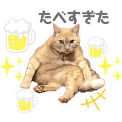 [LINEスタンプ] 我が家のわんにゃんズスタンプ