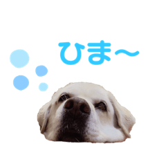 [LINEスタンプ] にちゃんのくちゃん