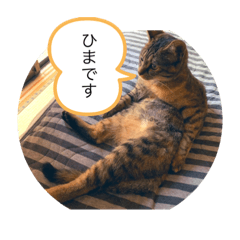 [LINEスタンプ] 保護猫こばんスタンプ2