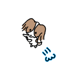 [LINEスタンプ] パピヨンのココちゃん