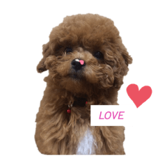 [LINEスタンプ] イヴりん♡♡