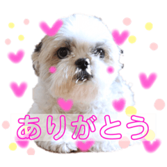 [LINEスタンプ] ぽっちくんたち