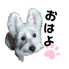 [LINEスタンプ] みんなのはなちゃん♡