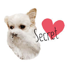 [LINEスタンプ] なっつ♡ぴのんスタンプEnglish ver.②