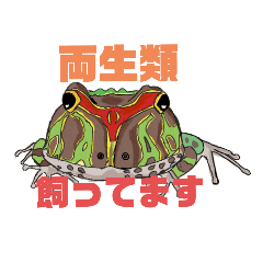 [LINEスタンプ] 爬虫類両生類好きのためのスタンプ