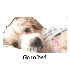 [LINEスタンプ] 愛しのワンちゃん