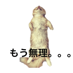 [LINEスタンプ] みりんスタンプ1