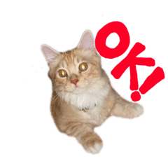 [LINEスタンプ] みりんスタンプ2