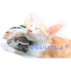 [LINEスタンプ] あいかなさん家の動物達