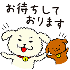 [LINEスタンプ] 白と茶色のプードルお客様対応スタンプ