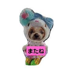 [LINEスタンプ] あいゆうみい