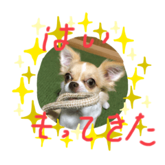[LINEスタンプ] はるちゃん その六