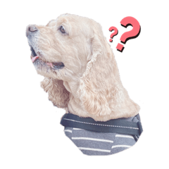 [LINEスタンプ] 竜吉くん