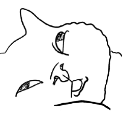[LINEスタンプ] 何でやねん猫 - 2