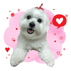 [LINEスタンプ] 俺はかわいいQ