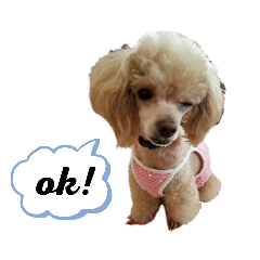 [LINEスタンプ] あずきちゃん1