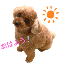 [LINEスタンプ] もも☆いつも一緒  Part1