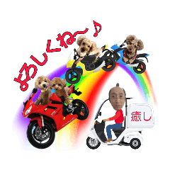 [LINEスタンプ] トイプー大好き癒しの部屋記念スタンプ2