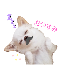[LINEスタンプ] マシュの1日