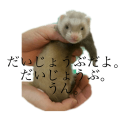 [LINEスタンプ] たかぎの愛