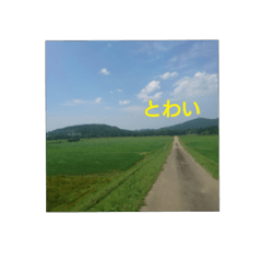 [LINEスタンプ] 沼木語(古め)3