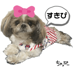 [LINEスタンプ] チャッピーの日常Part2