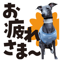 [LINEスタンプ] ハイパーイタグレ、蘭