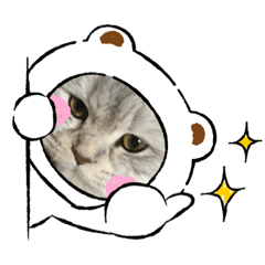 [LINEスタンプ] 猫と時々犬の生活