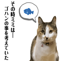 [LINEスタンプ] 今日もウチのネコちゃんたちが可愛い！