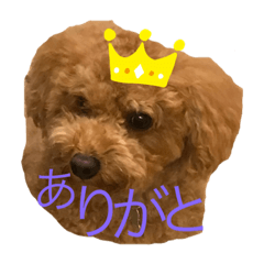 [LINEスタンプ] マルスタンプの世界