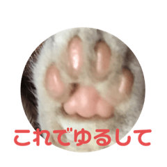 [LINEスタンプ] あーちゃんにゃ