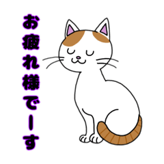 [LINEスタンプ] 猫のチャースタンプ