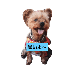 [LINEスタンプ] ゆう＆あい一筋