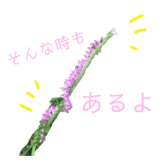 [LINEスタンプ] 花ことば。
