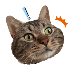[LINEスタンプ] リリィとふぐり