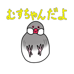 [LINEスタンプ] 文鳥スタンプ むすちゃんだよ Vol.2