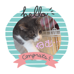 [LINEスタンプ] うちのこのは♡