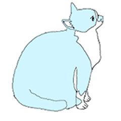 [LINEスタンプ] 色猫スタンプ