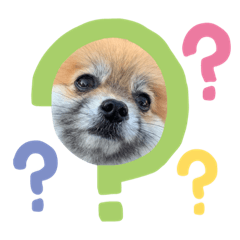 [LINEスタンプ] 黒ヒゲポメきなこの日常