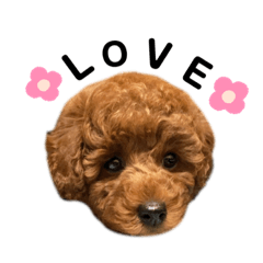 [LINEスタンプ] 原ロコ
