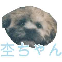 [LINEスタンプ] 杢ちゃん2