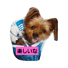 [LINEスタンプ] 永遠に一緒だよ